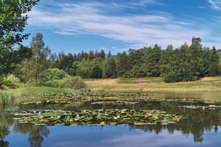 Angelteich auf dem Campingplatz Paulfeld